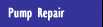 Electric Pump Repair & Rewind - ITT Flygt Pumps & Mixers